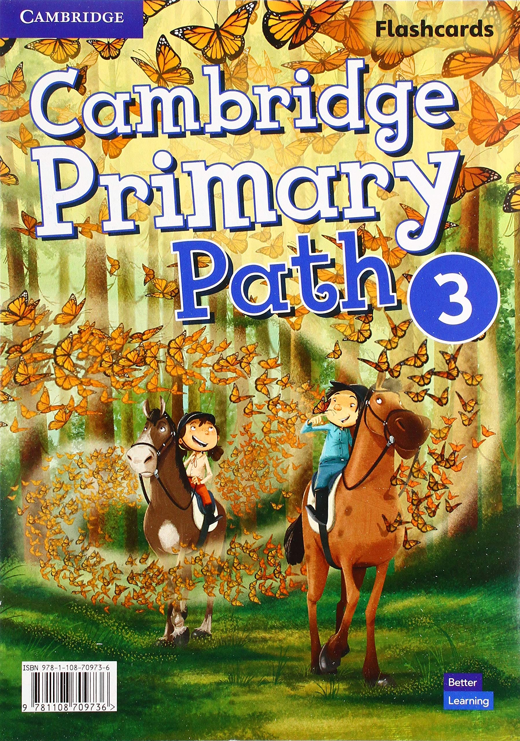 PRIMARY PATH 3 Flashcards