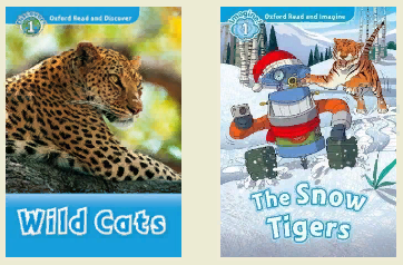 Комплект участника Конкурса Уровень BEGINNER Краснодар