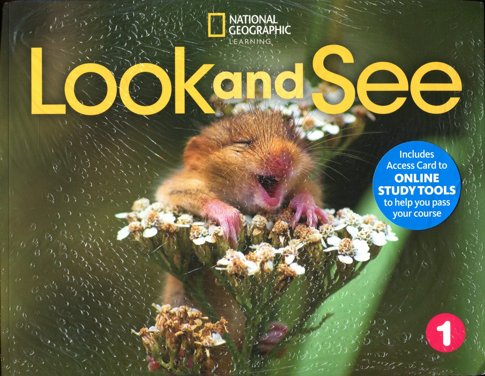 LOOK AND SEE 1 Student's Book with the Spark Platform