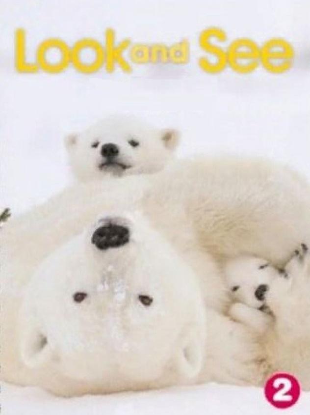 LOOK AND SEE 2 Flashcards