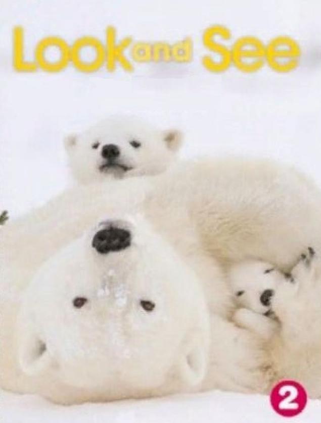 LOOK AND SEE 2 Classroom Presentation Tool