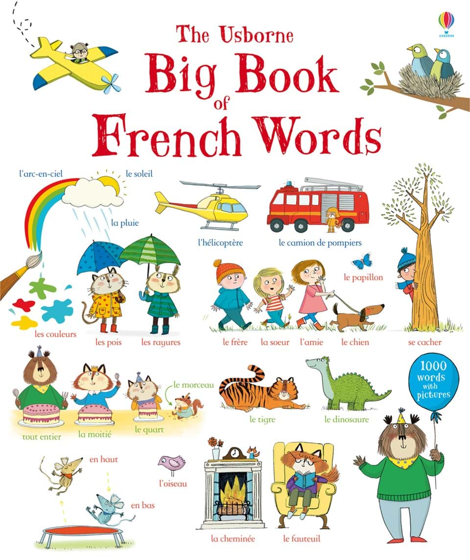 BIG BOOK OF FRENCH WORDS Book 