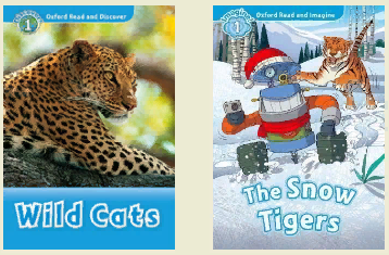 Комплект участника Конкурса Уровень BEGINNER Ростов-на-Дону