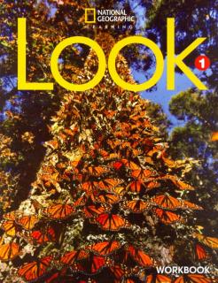 LOOK 1 Workbook
