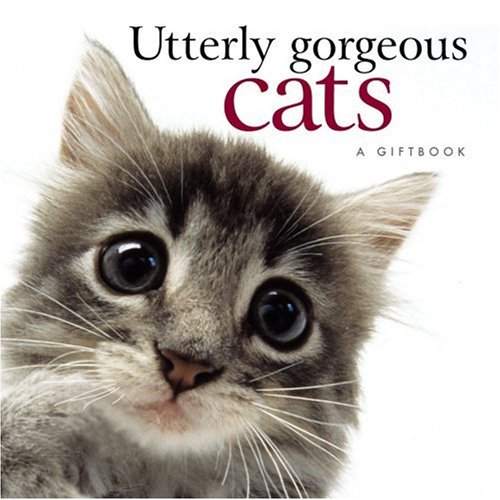 HE D&C Utterly Gorgeous Cats