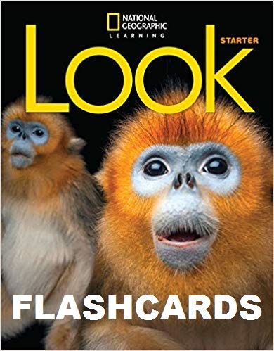 LOOK STARTER Flashcard Set