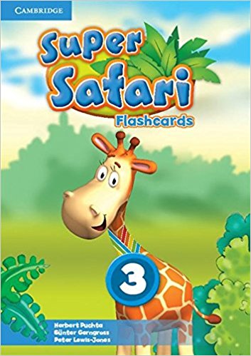 SUPER SAFARI 3 Fashcards 