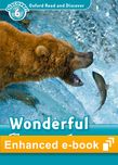 OXF RAD 6 WONDERFUL ECOSYSTEMS eBook $ *