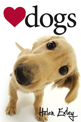 HE JEWELS Love Dogs NEW COVER