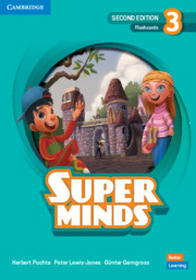 SUPER MINDS 2ND EDITION Level 3 Flashcards