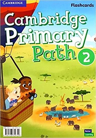 PRIMARY PATH 2 Flashcards