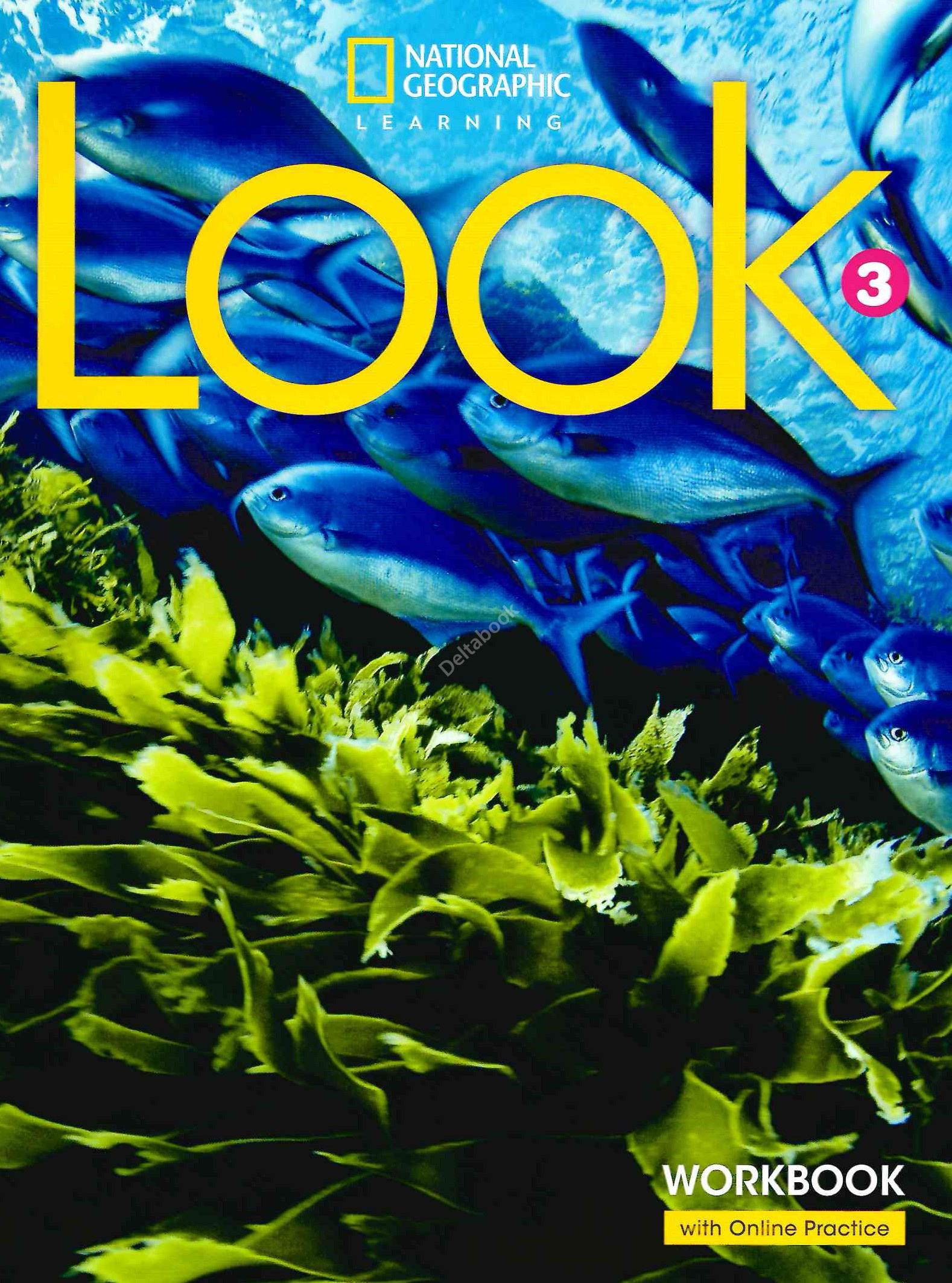 LOOK 3 Workbook (with online practice sticker code)