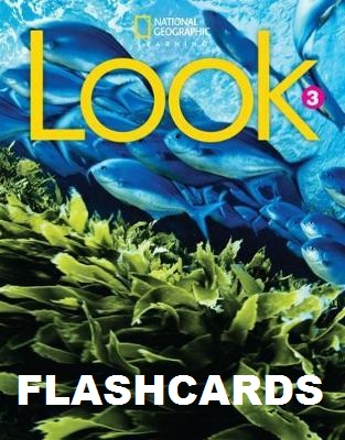 LOOK 3 Flashcard Set