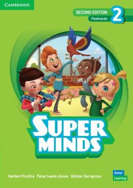 SUPER MINDS 2ND EDITION Level 2 Flashcards