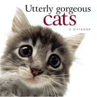 CATS AND DOGS SERIES